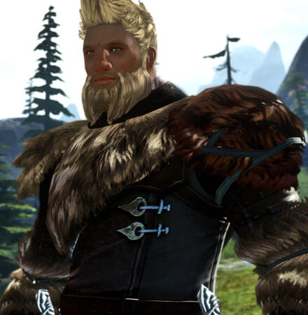 Garrus Goldheart, "The Golden Tiger" - Entertainer, performer, and thrower of axes, Garrus lives up to his namesake with his friendly demeanor and his love for his family and allies. Garrus lives with his family in Cragstead, but often joins the crew.